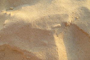Речной песок мытый (намывной)